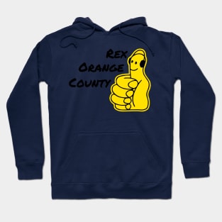 rex orange county who cares ? Hoodie